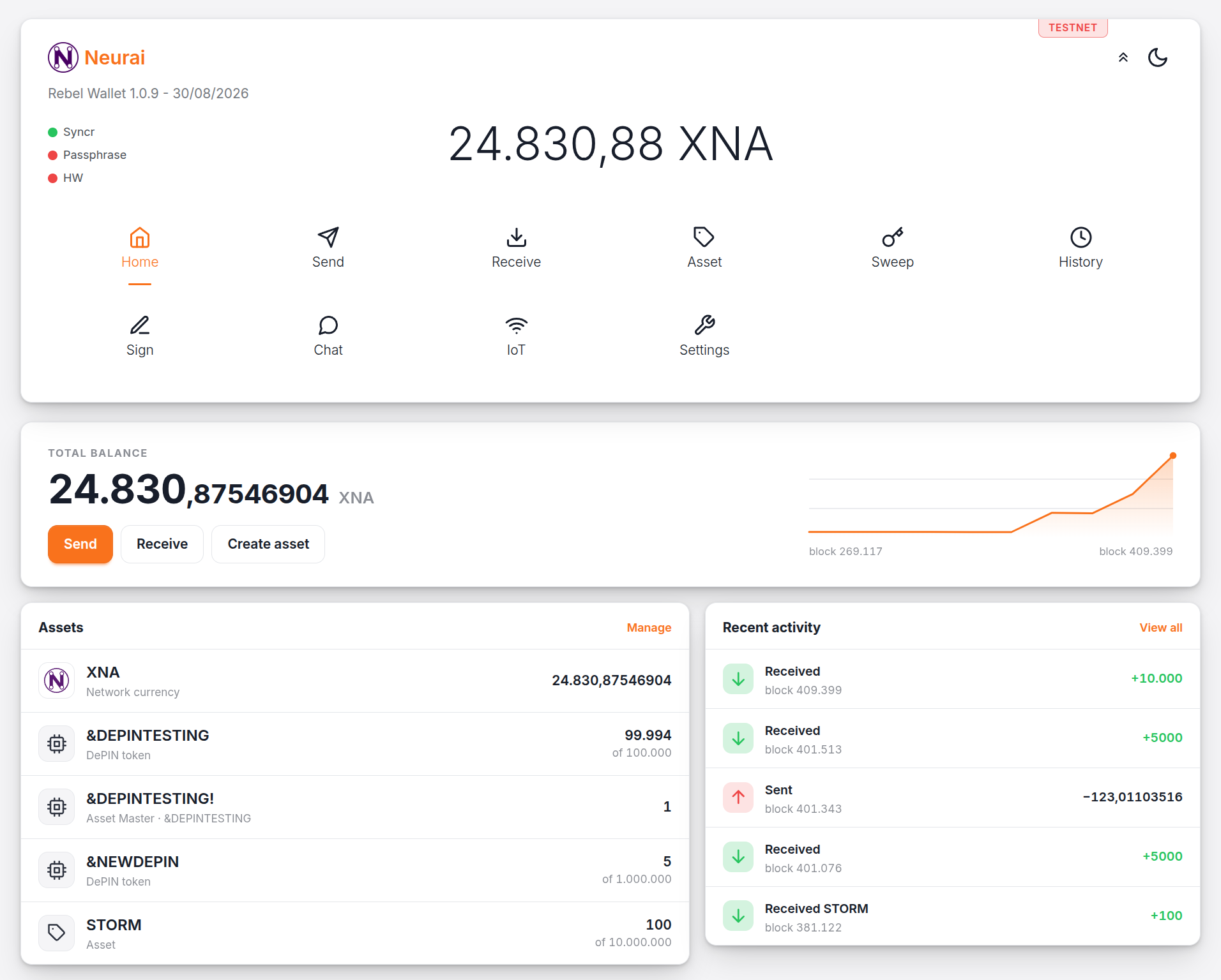 Neurai Web Wallet on testnet showing balance, DePIN tokens, assets and recent activity